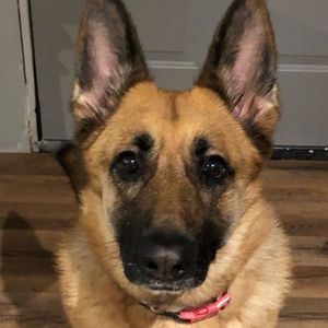 Meet your Posher, Haley